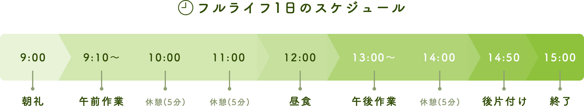 フルライフ1日のスケジュール